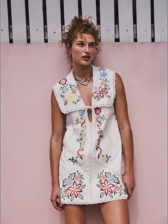 Free People Dresses & Skirts - Willow Embroidered Mini Dress